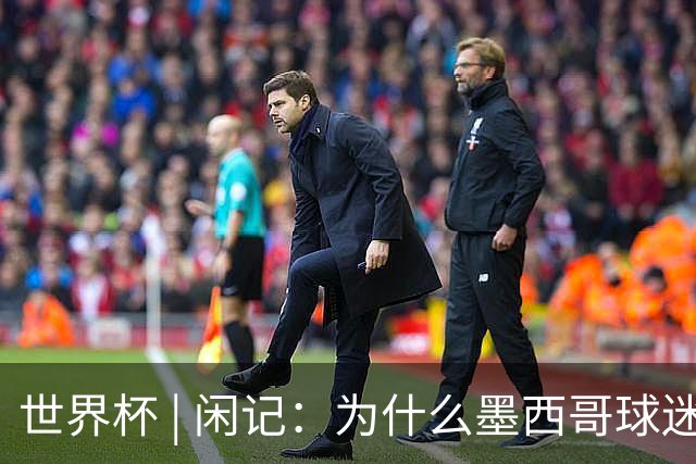 世界杯 | 闲记：为什么墨西哥球迷总劝人别哭