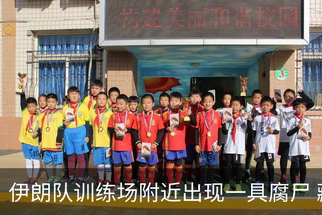 伊朗队训练场附近出现一具腐尸 藏在车辆后备箱+黑袋包裹