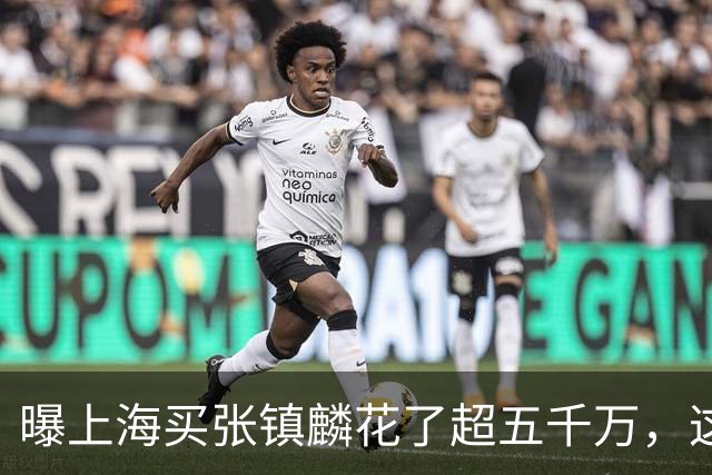 曝上海买张镇麟花了超五千万，这相当于一支球队整个赛季收入！