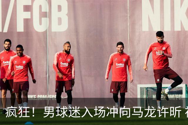 疯狂！男球迷入场冲向马龙许昕 被拦住仍想挣脱 龙蟒心软与他握手