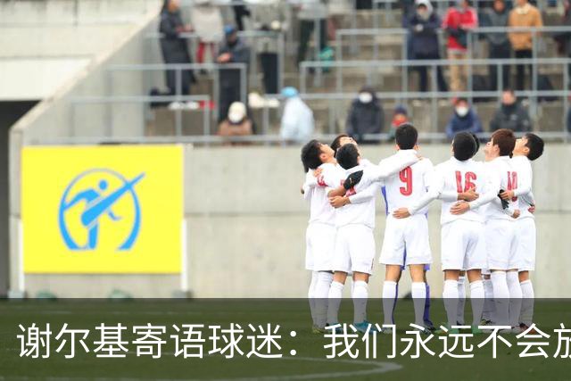 谢尔基寄语球迷：我们永远不会放弃，将以更强大的姿态归来